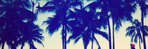 SO__MTS_'s profile banner image