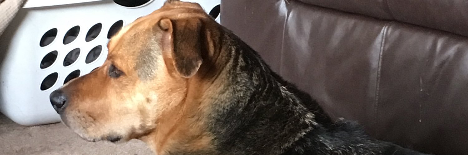 troyh0003's profile banner image