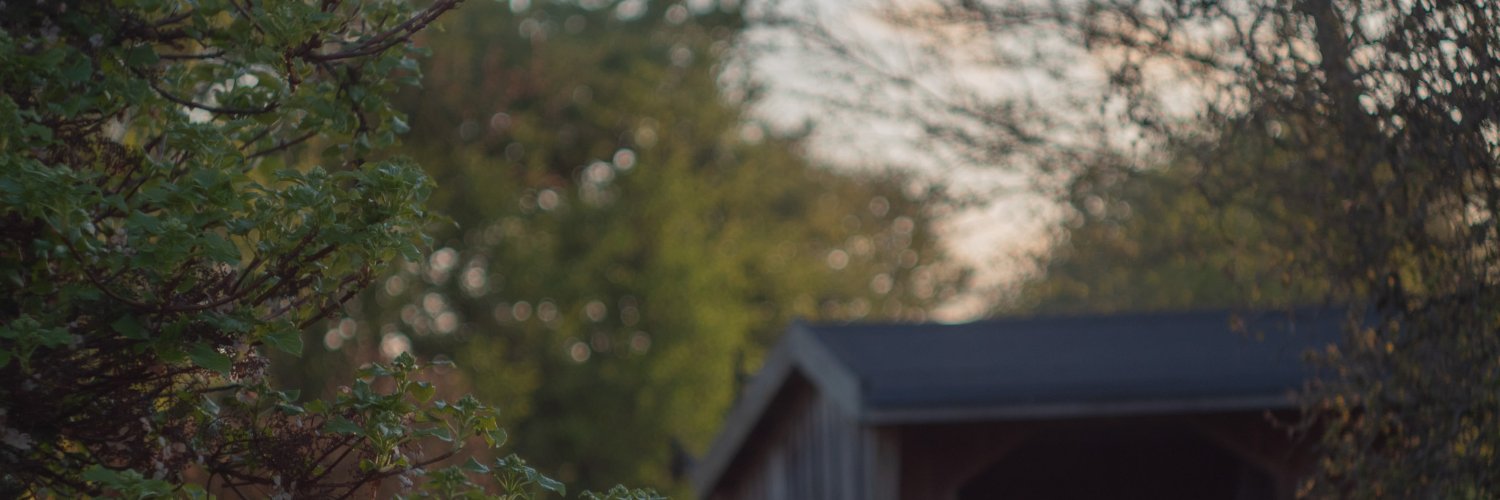 Andy Thybo banner