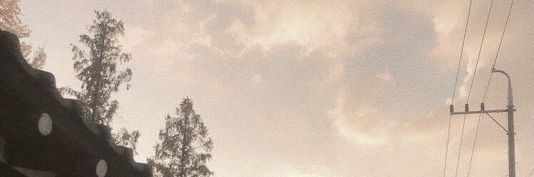 individuaul's profile banner image