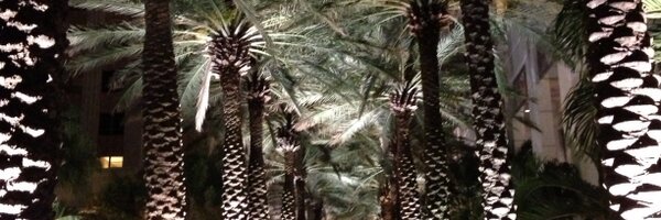 AmyJDub Profile Banner