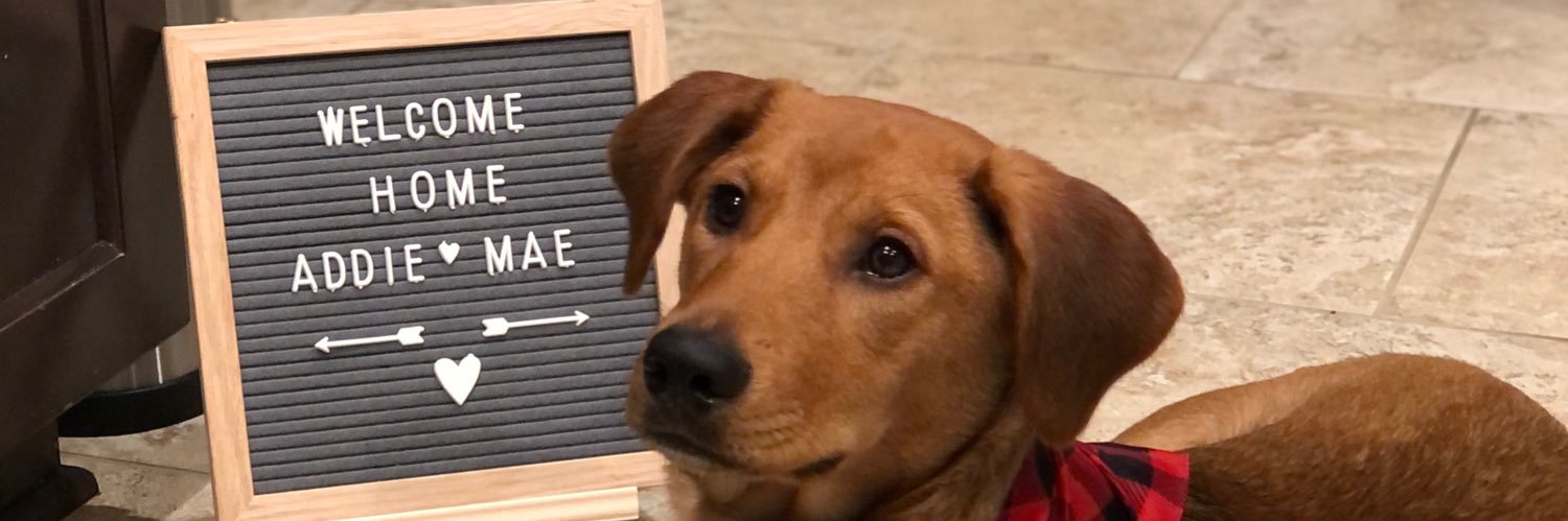 apretzerr's profile banner image