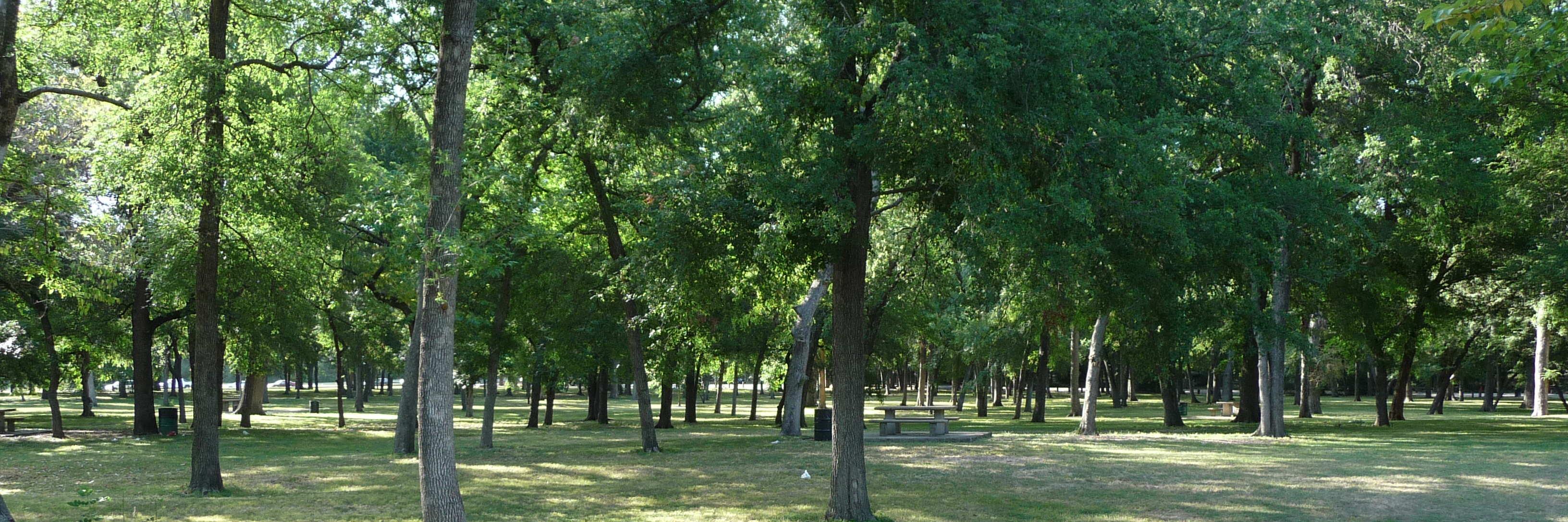customwood2's profile banner image