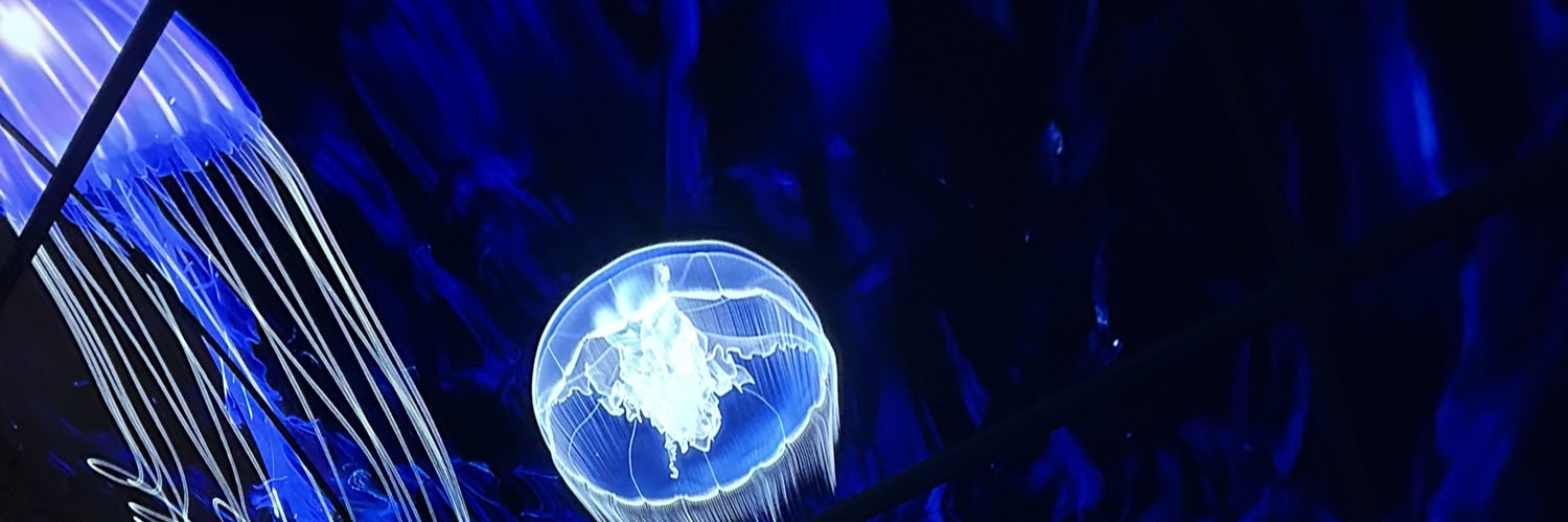 frnzmnl's profile banner image