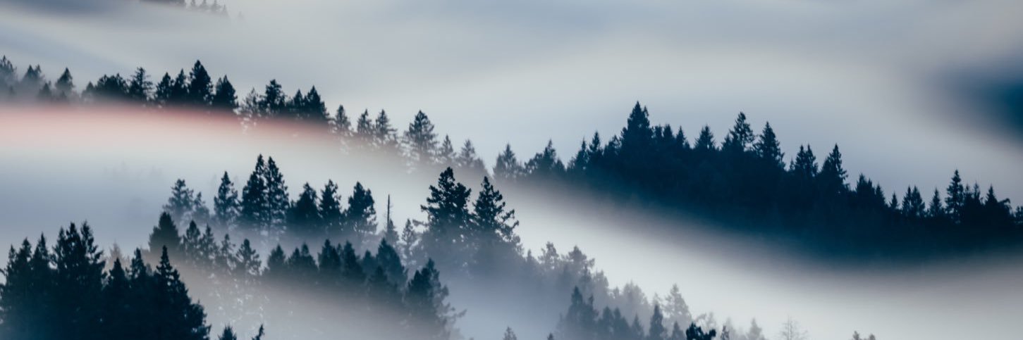 dillymackenzie's profile banner image