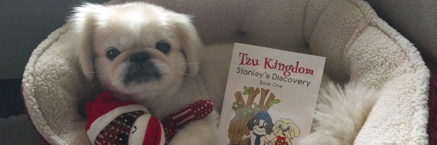 binkybear007's profile banner image