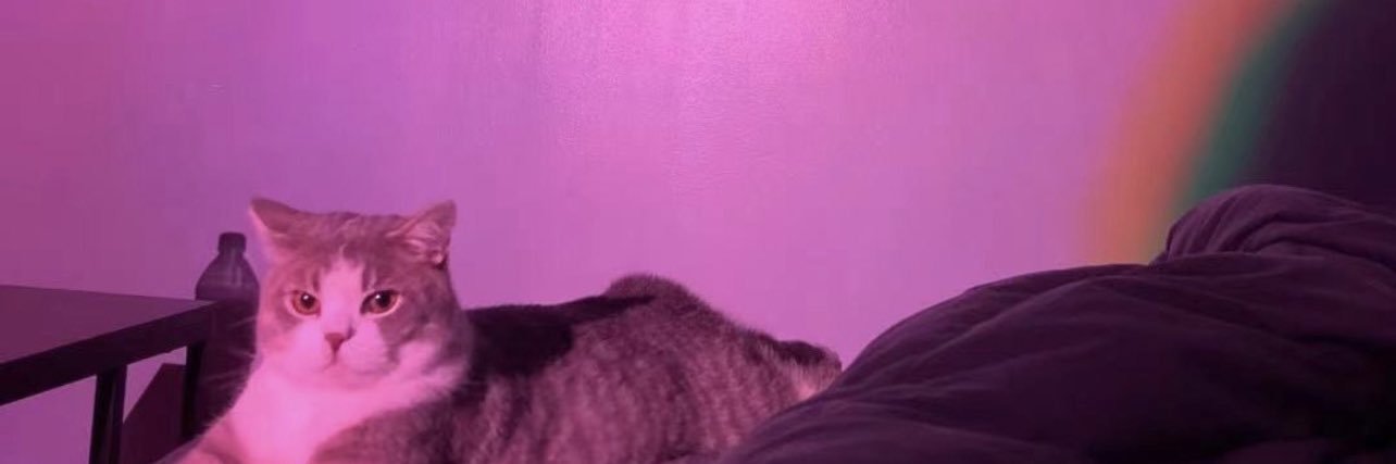 _ChantalQ's profile banner image