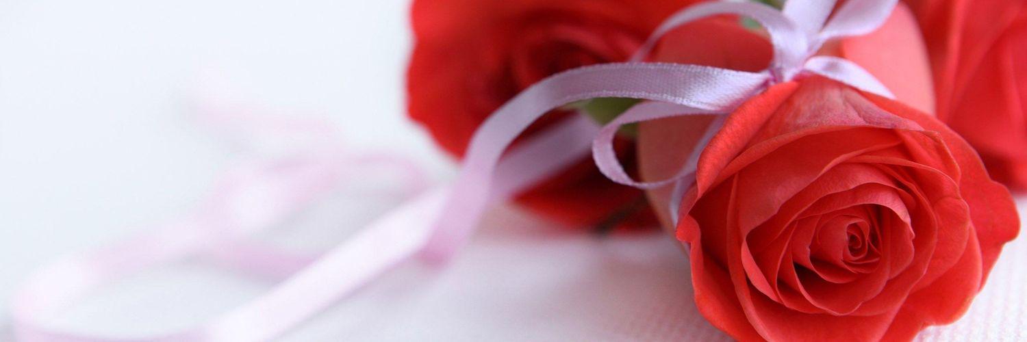 B__25__B's profile banner image