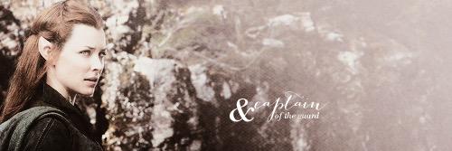SoulOfStarlight's profile banner image