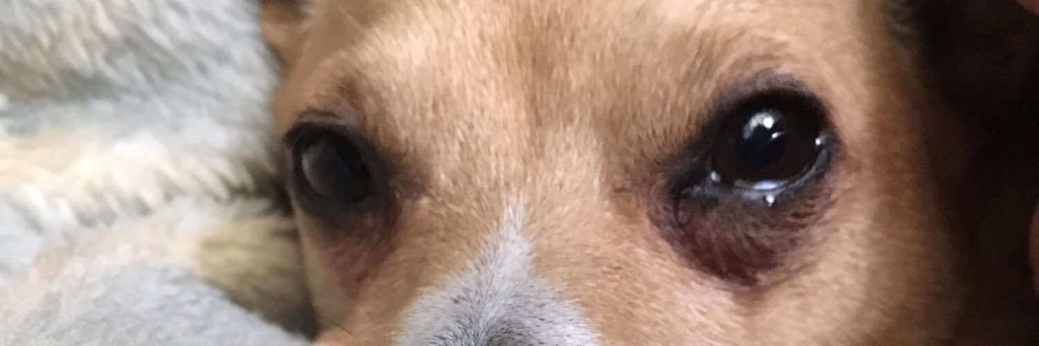 Keith1531's profile banner image