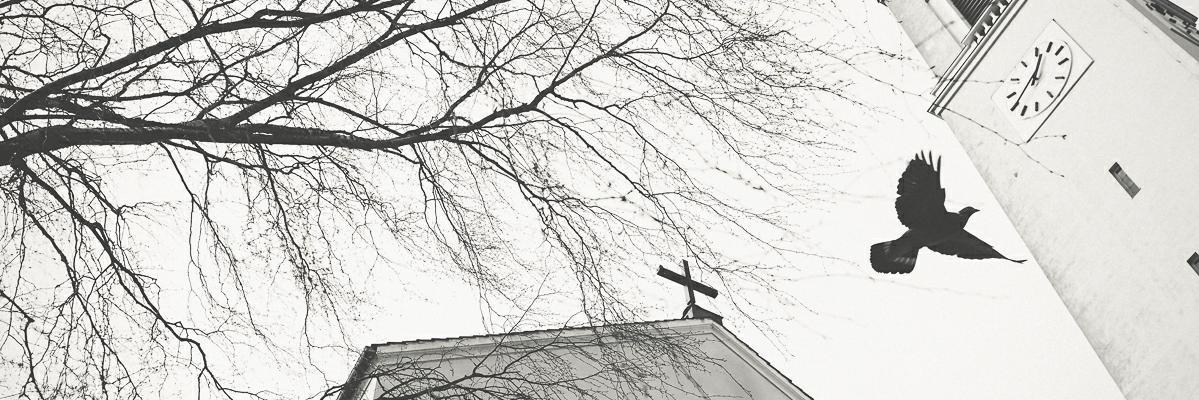 LauraRoivas's profile banner image