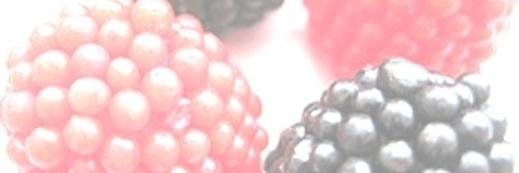 coconut_berries's profile banner image
