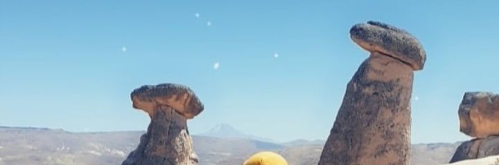 Nazmiye Gülbaş banner