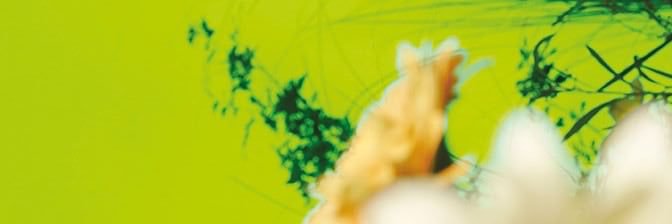 endingpage's profile banner image