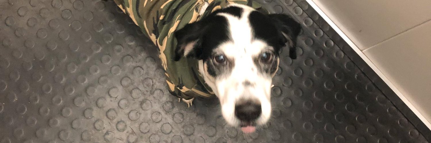 Stroso Bioquímico banner