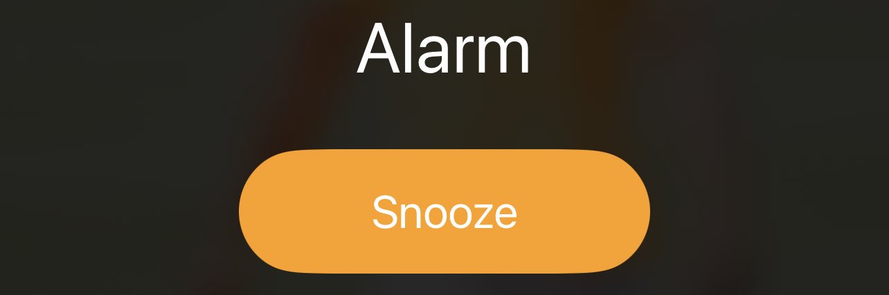 Landon Lenoir banner