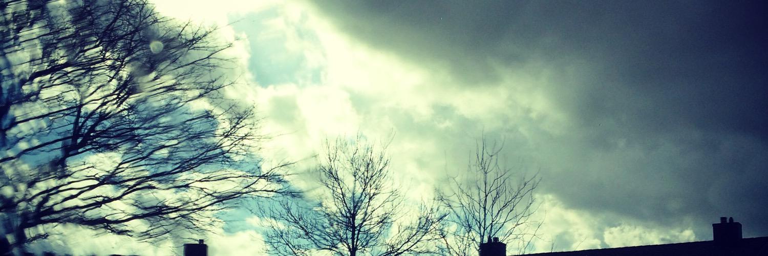 Brechtvdn's profile banner image