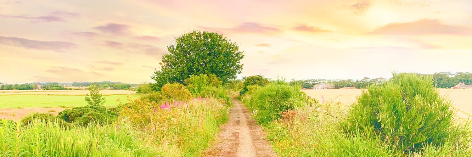 amy_watt's profile banner image