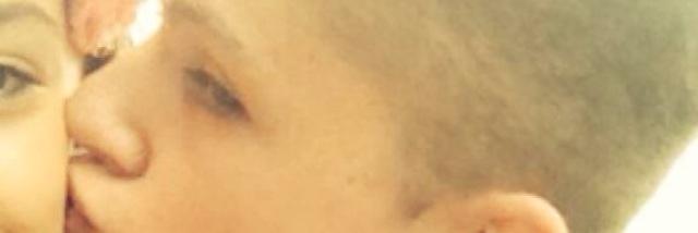 Holly banner
