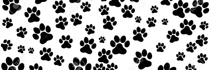 Peter16___'s profile banner image