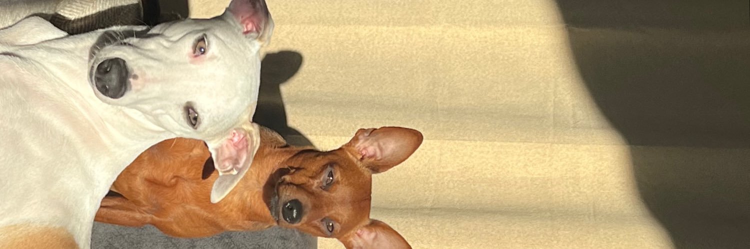 ollabby's profile banner image