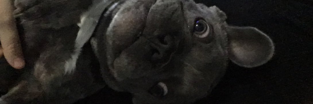 Emzipopspearcee's profile banner image
