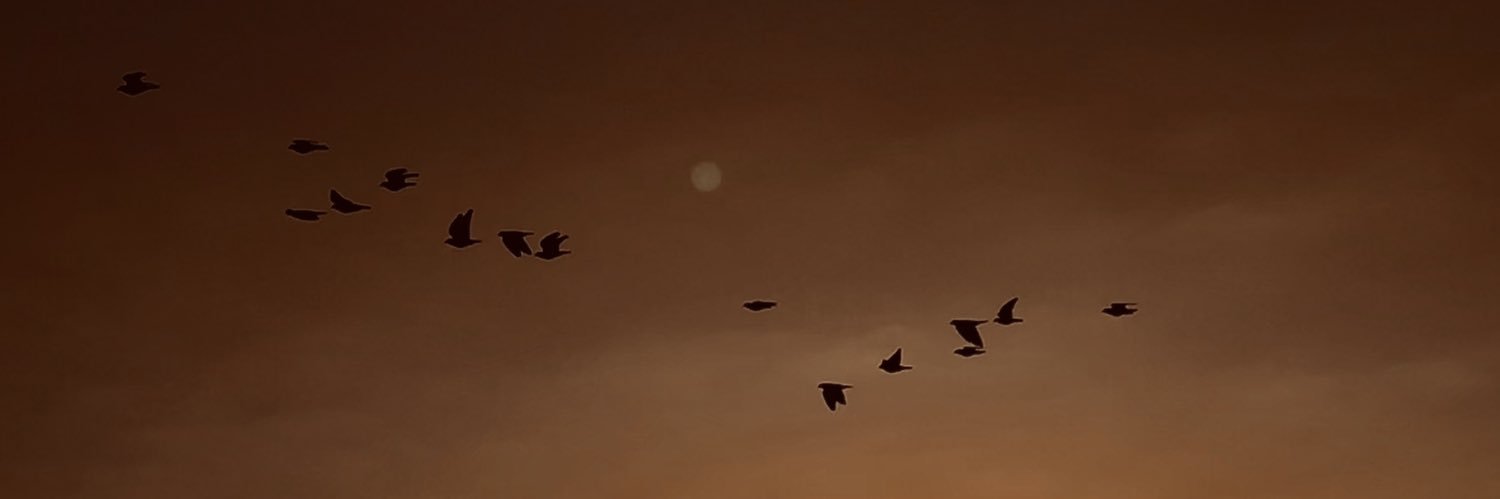 SirZiad's profile banner image