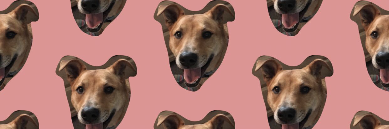 kateabos's profile banner image