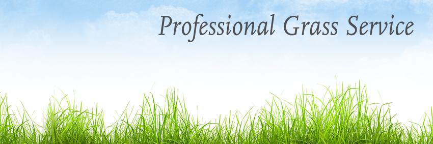 ProGrasSNL's profile banner image