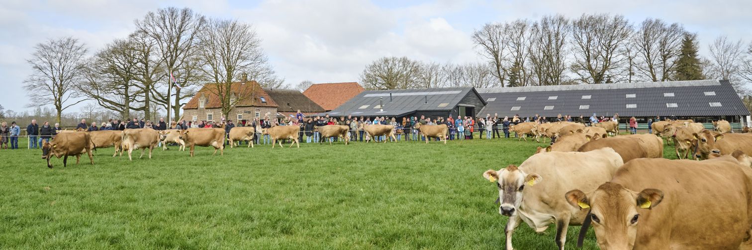 Bert Ruitenberg banner