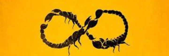 FernandaCoultS's profile banner image
