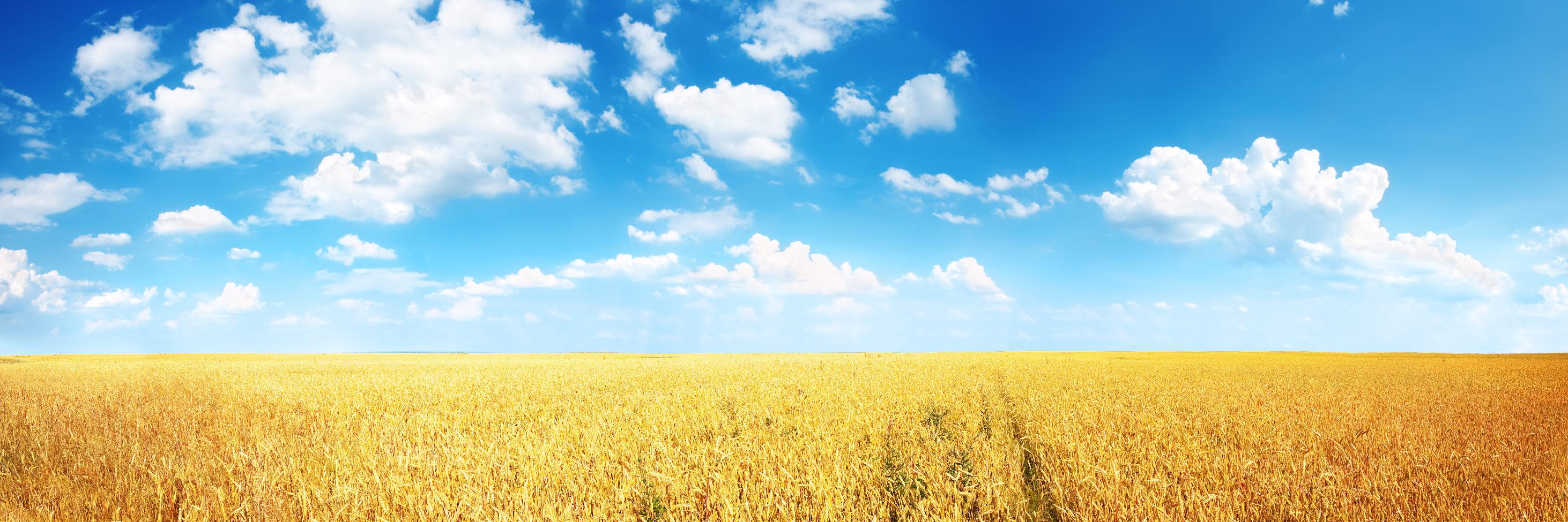 PapashkoS's profile banner image