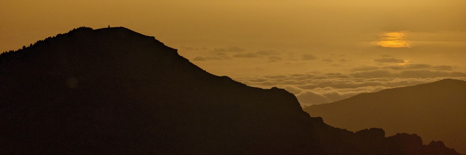 vogler_f's profile banner image