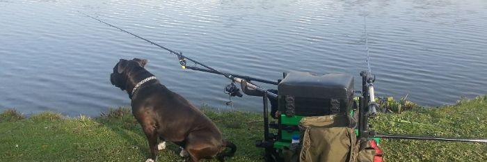EdensFishing's profile banner image
