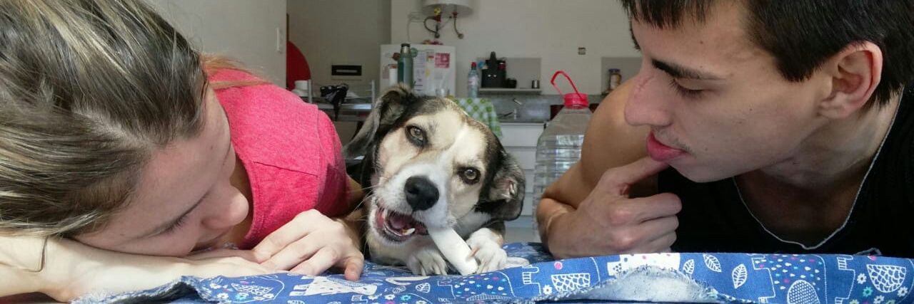 Sebastian Orresta banner