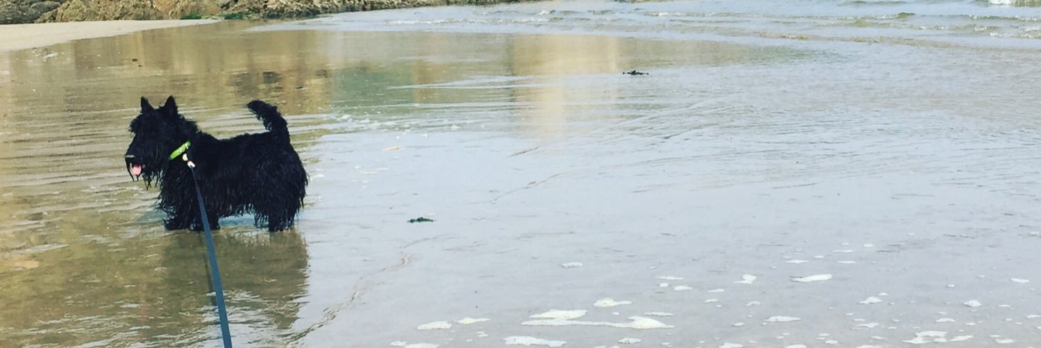 AggieScottie's profile banner image
