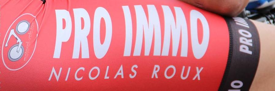 Team Pro Immo DN1 banner