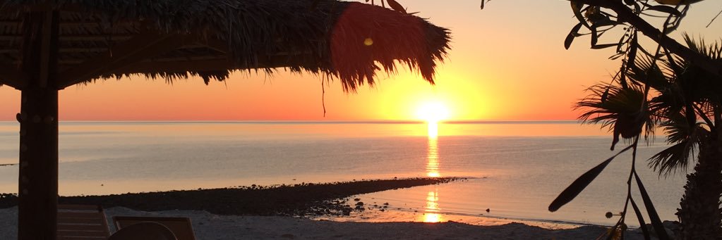 DebMontoya's profile banner image