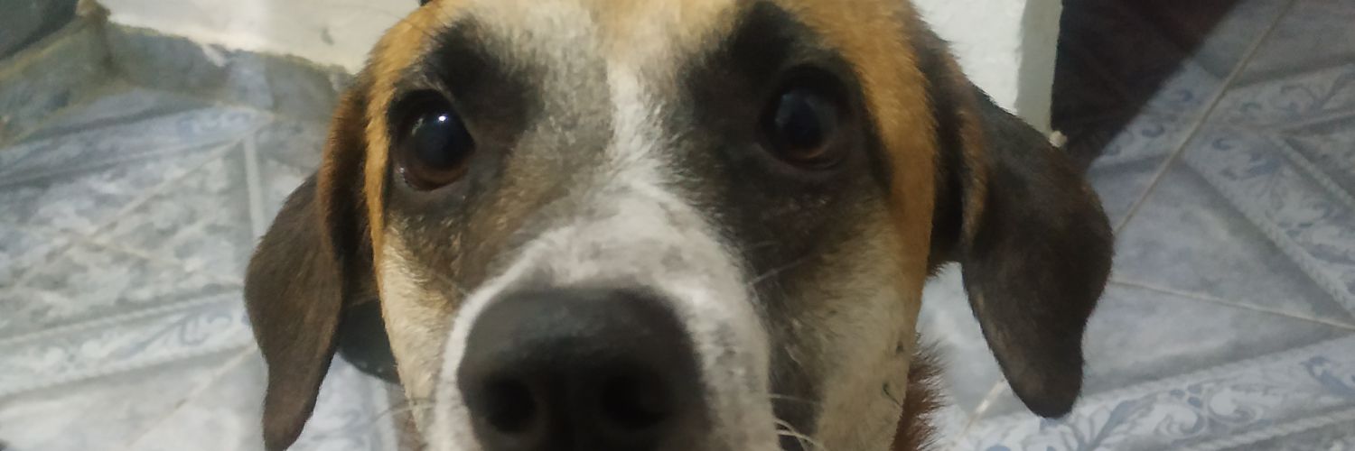 BonnerRicck's profile banner image