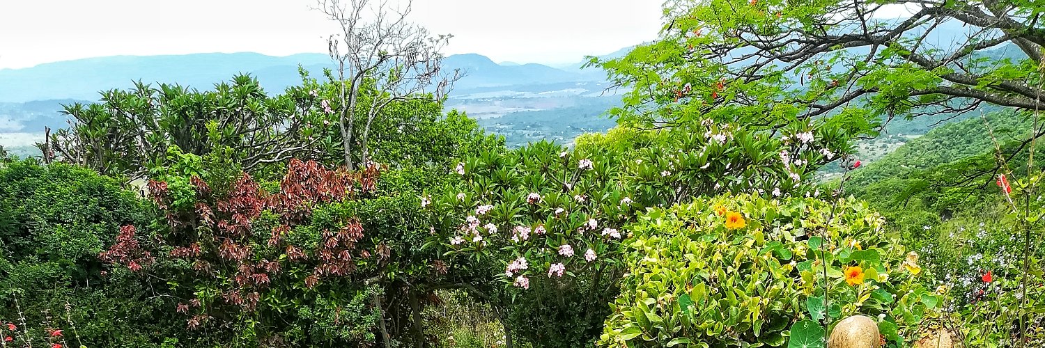 landwed1's profile banner image