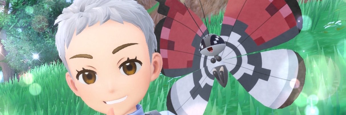 pokkabooo's profile banner image