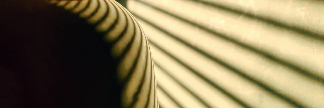 geraldine timlin banner