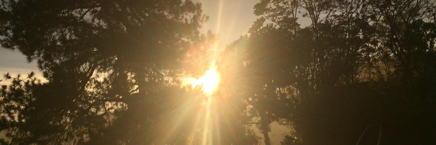 AA_Roque's profile banner image