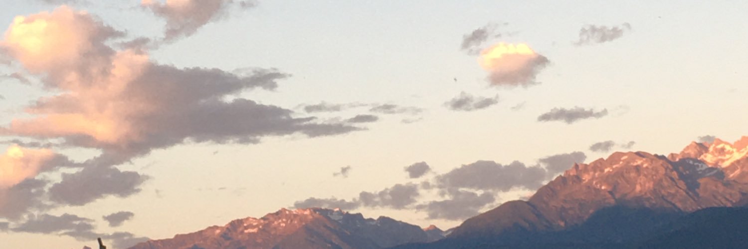 pascale manzagol banner
