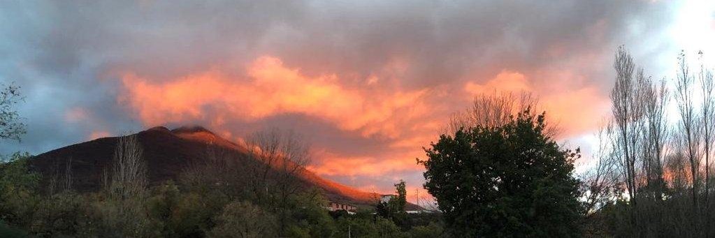 𝓟𝓲𝓰𝓷𝓸 (𝓘𝓵 𝓖𝓪𝓽𝓽𝓸) 🐝🧱 banner