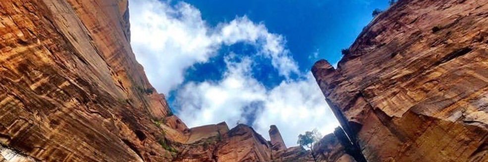 Michelle Echiverri, Ed.D. banner