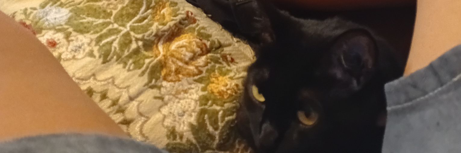 bentesdentes's profile banner image