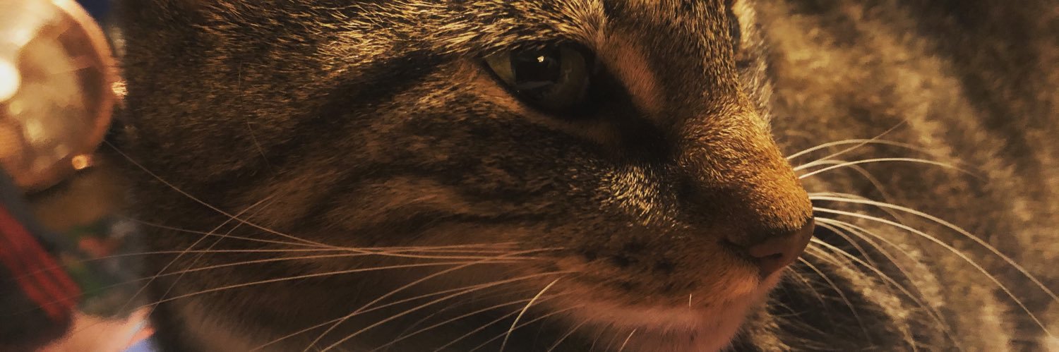 KWyatt22's profile banner image