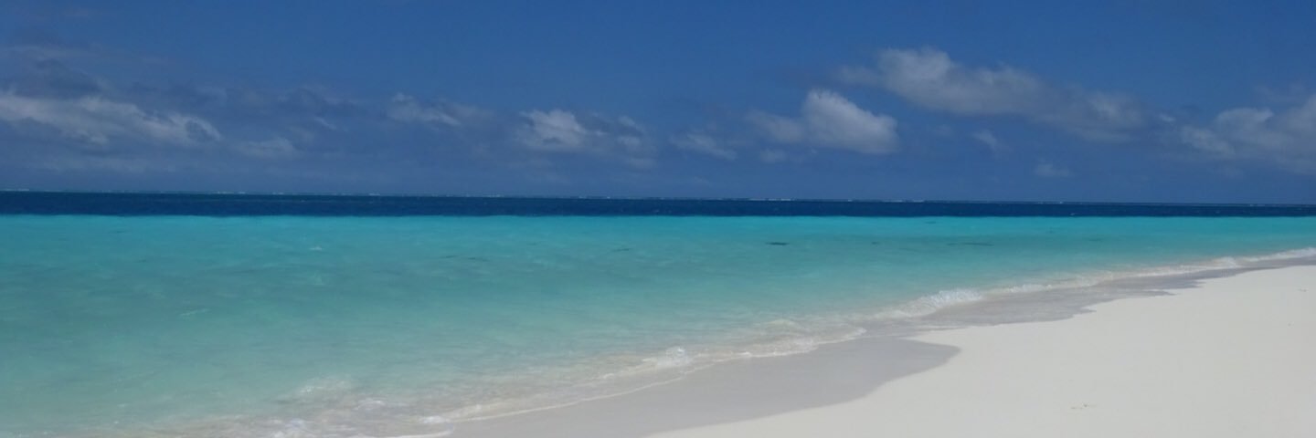0317tmmm's profile banner image