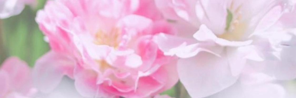 ar22add's profile banner image